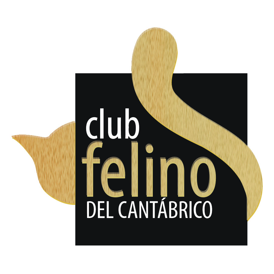 clubfelinodelcantabrico